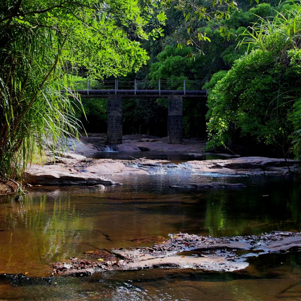Courtallam - Shenbaga Devi Falls