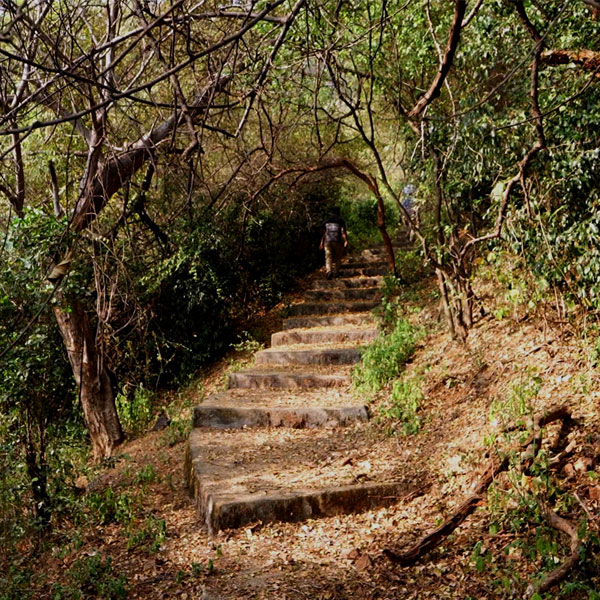 Kutladampatti Falls -Thadagai Trail