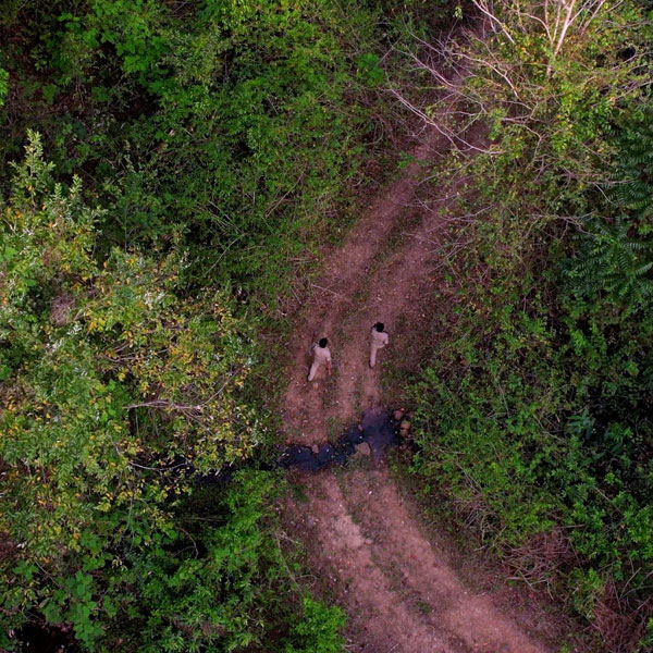 Kalikesam - Maramalai