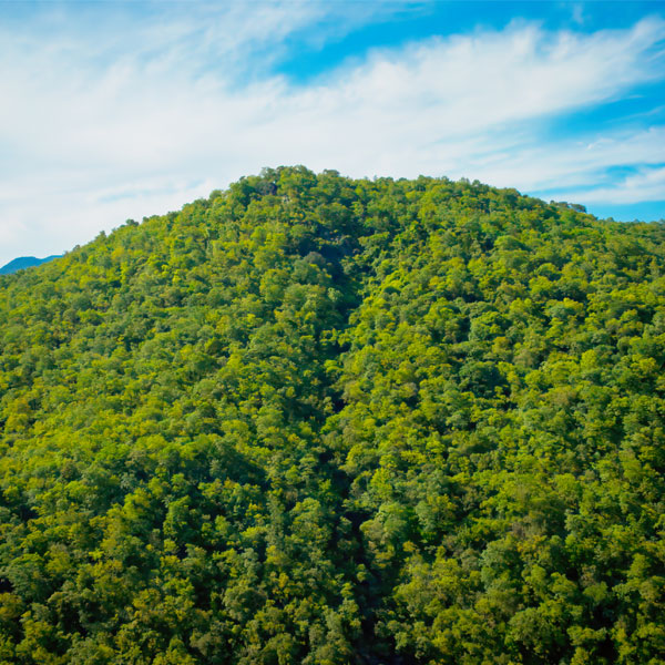 Kullar caves (Tiruvannamalai)