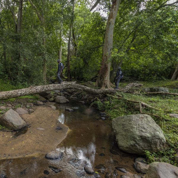 Shenbagathoppu Trail