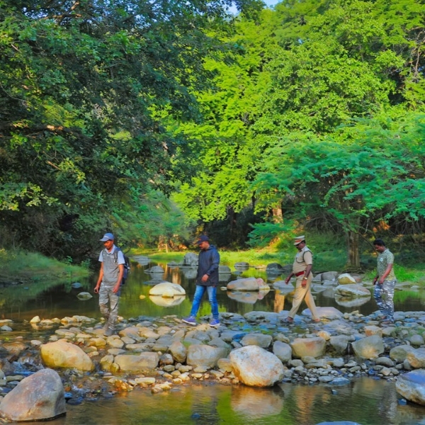 Biligundulu - Rasimanal