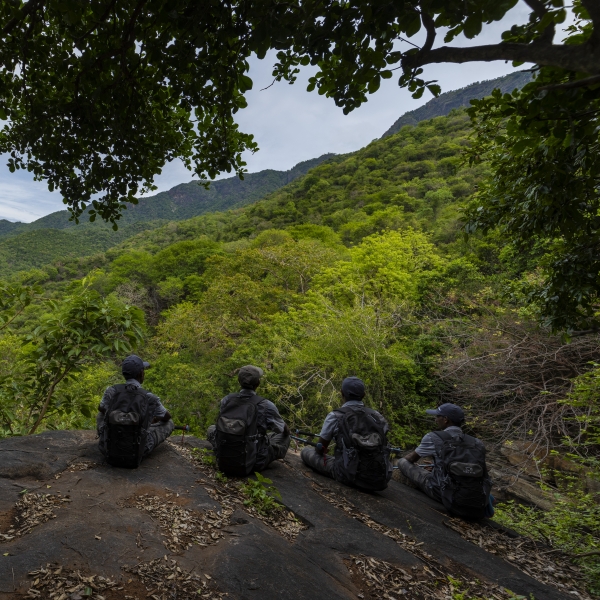 Kutladampatti Falls -Thadagai Trail ( Easy )