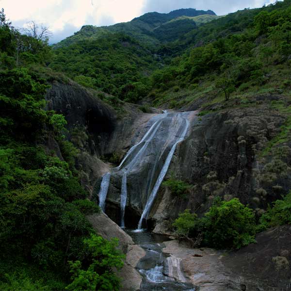 Kurangani - Sambalaru