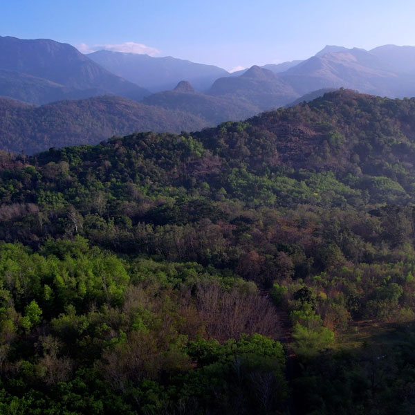 Kalikesam - Balamore