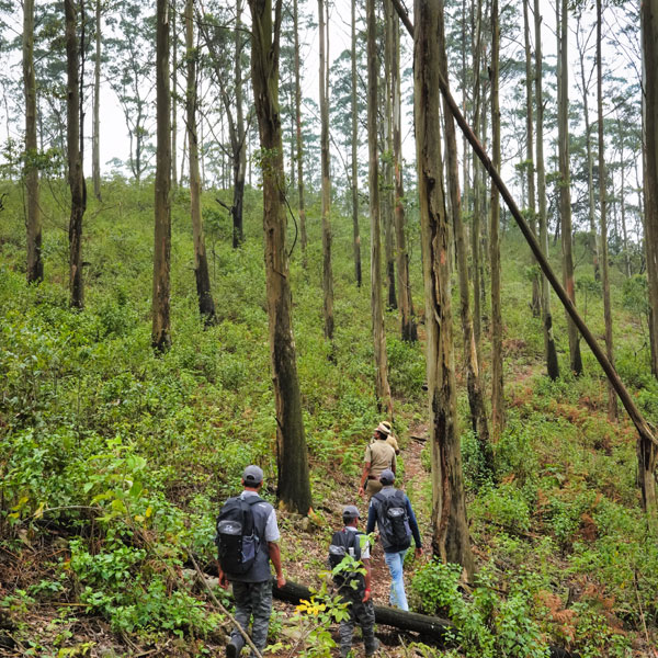 Yelagiri - Swamimalai