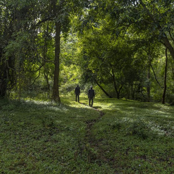 Shenbagathoppu Trail - Easy